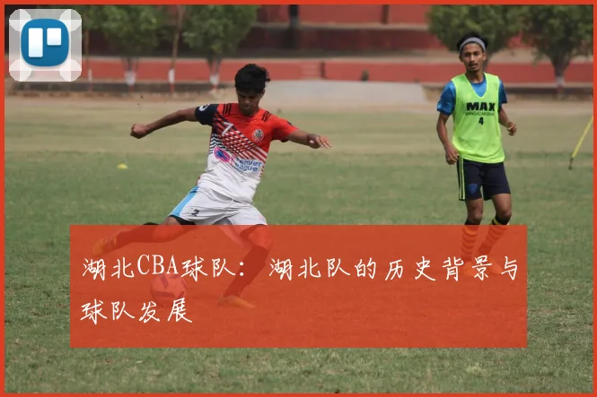 湖北CBA球队：湖北队的历史背景与球队发展