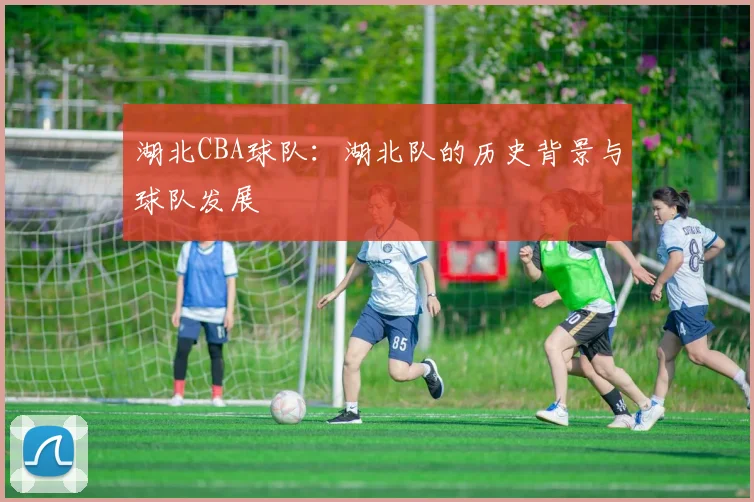 湖北CBA球队：湖北队的历史背景与球队发展